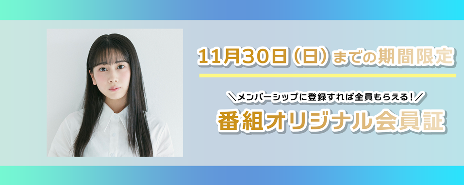 野中ここなのノナカの野望